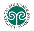 Logo for Insubria University