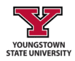 Logo for Youngstown State University