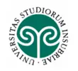 Logo for Department of Economics, University of Insubria