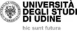 Logo for Università degli Studi di Udine