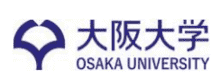 Professor or Associate Professor or Associate Professor (Lecturer) Tenure-track position
