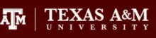 Tenure Track: Assistant Professor
