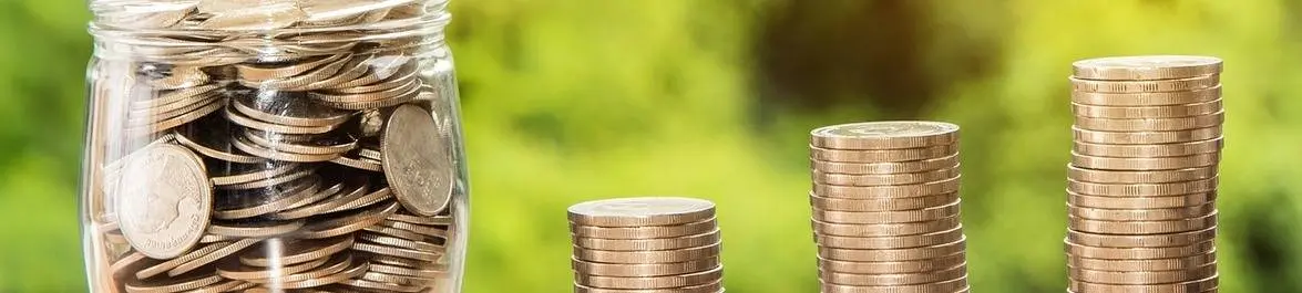 
          The Higher the Academic Qualification the Higher the Wage
  