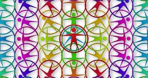 
          Degree in Behavioural Sciences: Possible Careers 
  