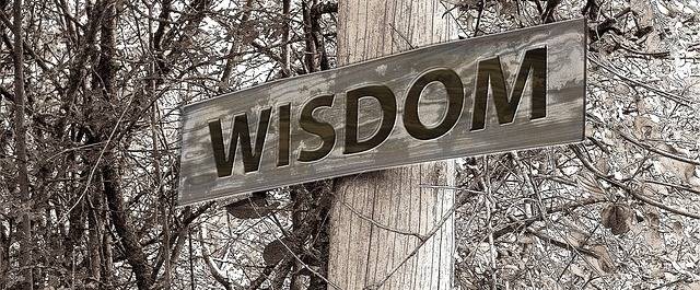 
          How To Apply For A PostDoc Grant or Fellowship
  