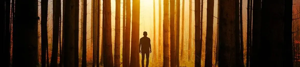 La vita dell’uomo economico razionale