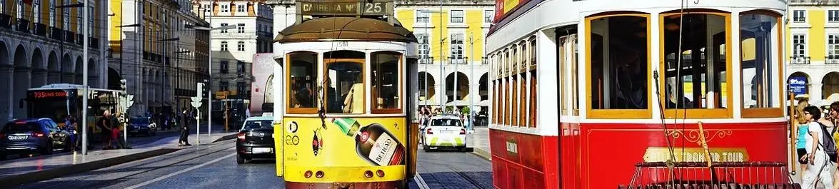
          Why study at the University of Lisbon?
  