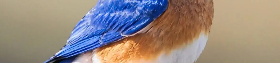 
          30 Top Twitter Feeds in Economics and Finance
  