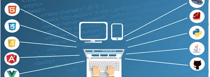 
          Which Programming Language Should You Learn?
  