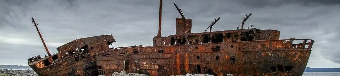 
          How the Coronavirus Pandemic Broke the Commercial Freight Transport Sector
  