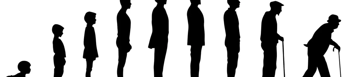 
          Overlapping Generations (OLG) Model
  