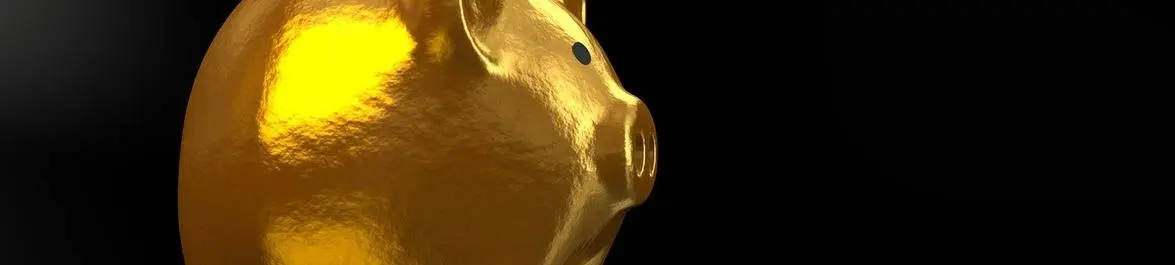 
          The Challenges of Microfinance
  