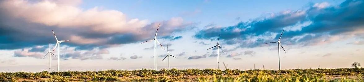 
          The Future of Sustainability
  