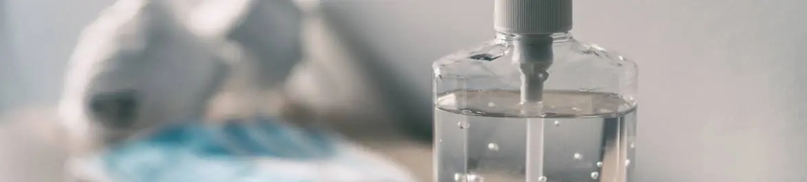 
          Covid-19 and the Seizure of Power
  