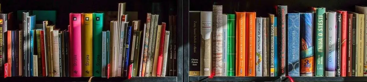 
          New Economics Books 2025
  