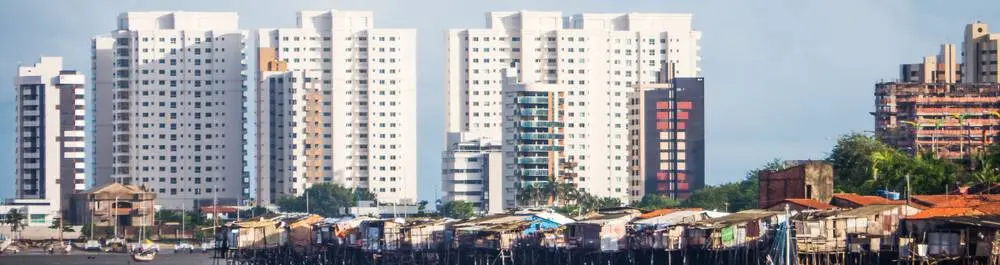 
          The Effects of Inequality on Society
  