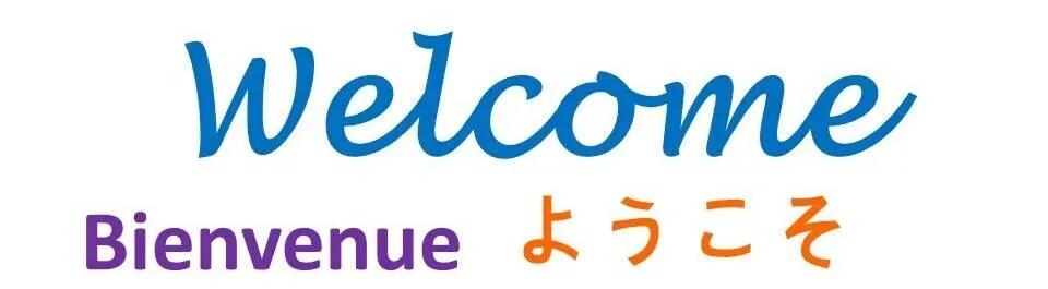 
          How To Learn A New Language?
  