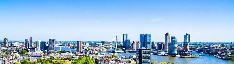 
          Studying economics or business at Rotterdam Business School
  