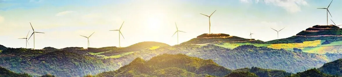 
          How to incorporate macroeconomics in environmental economics courses
  