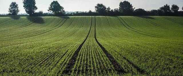 
          Top Career Paths: Agricultural and Natural Resource Economics
  