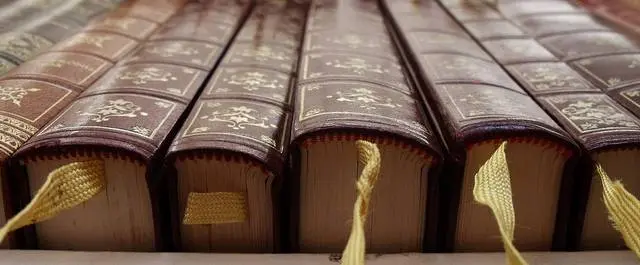 
          Navigating the PhD Literature
  