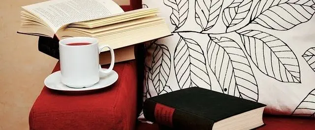 
          Interdisciplinary Degrees - Pros & Cons
  