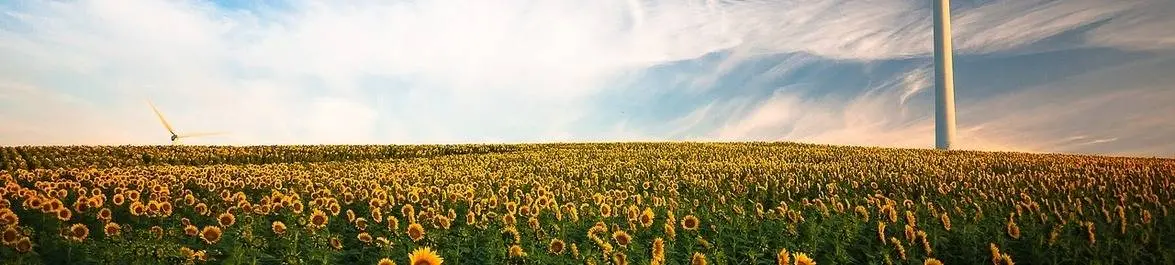 
          Top 10 Cities for Environmental Engineering Jobs
  