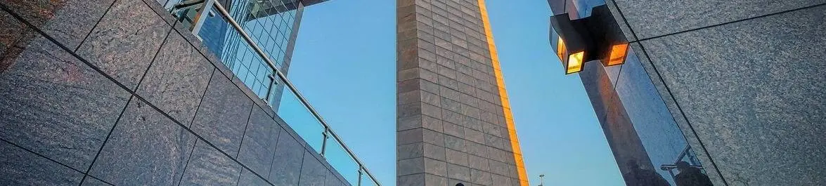 Aufbau einer wirtschaftswissenschaftlichen Karriere: Von der Studienwahl bis zum Arbeitsmarkt für Wirtschaftswissenschaftler