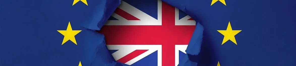 
          No Deal Brexit and the Threat to UK Universities
  