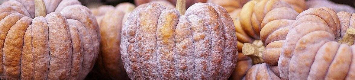 
          5 Halloween Costume Ideas for Engineers
  