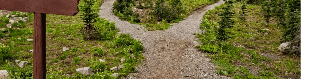 
          How to Search for a PhD Program
  