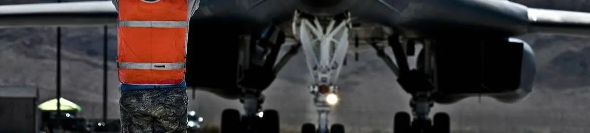 
          The Fall and Rise of Neoconservatism
  