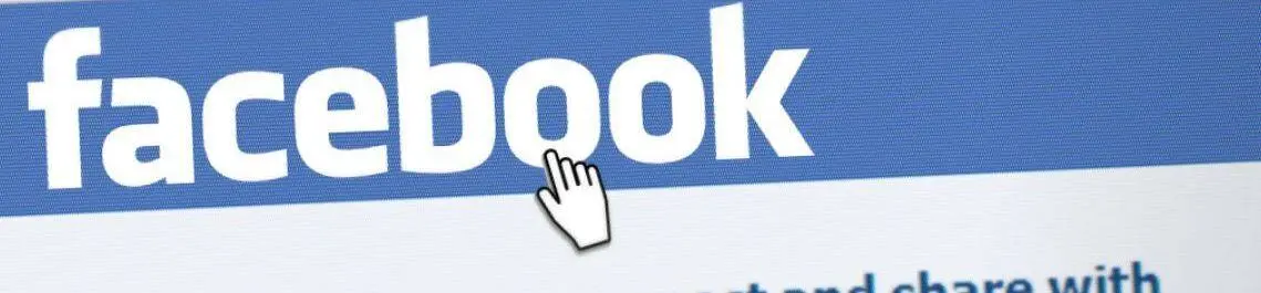
          How Economists [in Academia] Use Facebook
  