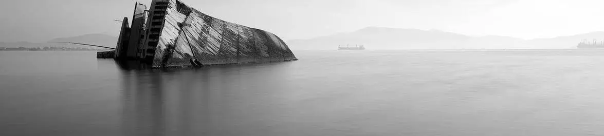 
          The Economist's Decline
  