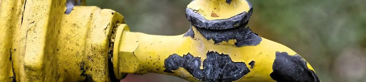 
          The Glass Ceiling and the “Leaky Pipeline” in Economics
  