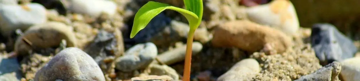 
          Is it time to bin GDP?
  