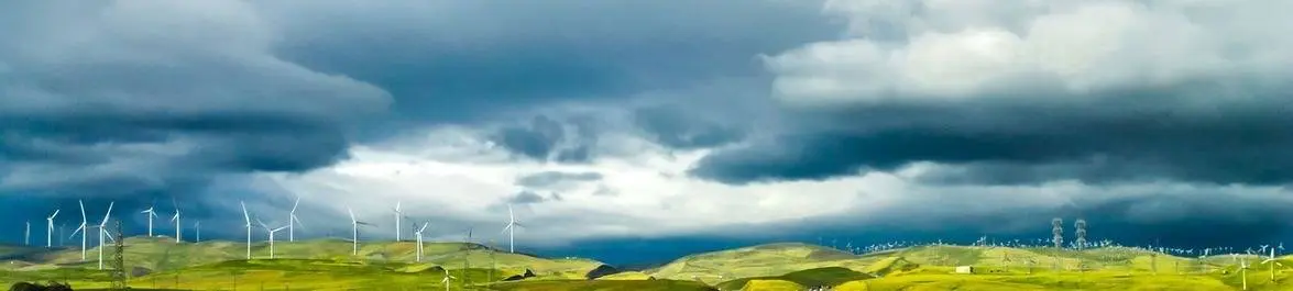 
          The Case for Ecological Economics
  