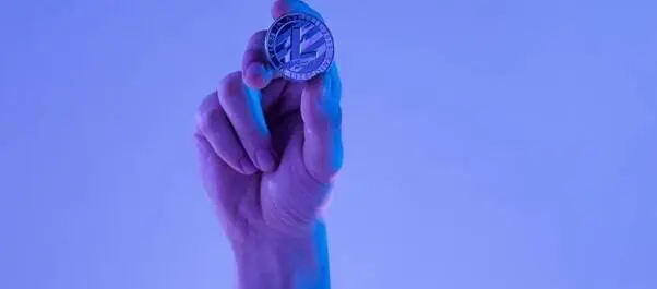 
          Distribution effects in a perpetual Bitcoin bull market: Who really pays for the Lamborghini
  