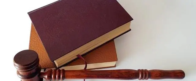 
          Top Law Departments Worldwide 2015
  