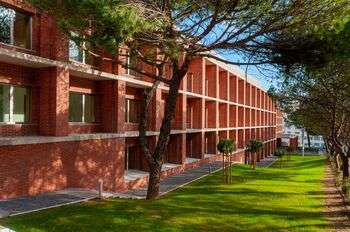 MSc in Economics