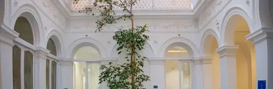 CEMFI Summer School 2026