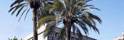 Summer School - Seeing through the algorithms: a summer school on machine learning & AI for economists