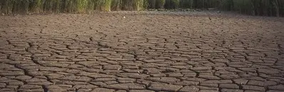 The Future of Water: Engineering Contributions to Water Management