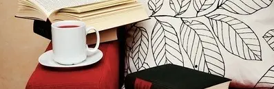 Interdisciplinary Degrees - Pros & Cons
