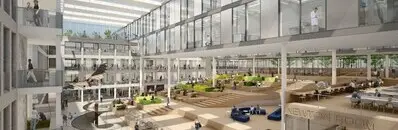 Why Study at the HAN University of Applied Sciences in the Netherlands?