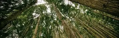 The Best Books on Environmental Economics