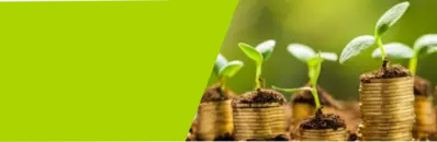 MASTER SOLAR ENERGY, LAW, ECONOMICS AND MANAGEMENT (SOLEM)