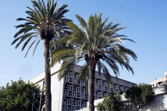 Summer School - Seeing through the algorithms: a summer school on machine learning & AI for economists