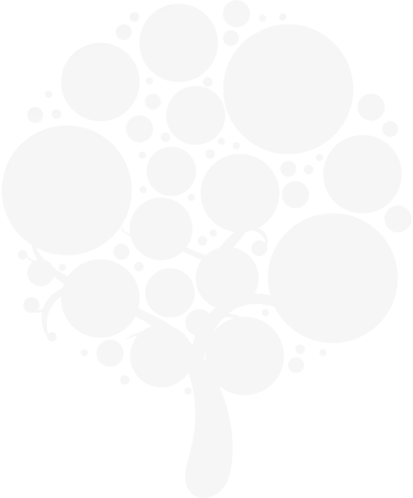 Up and Running in Stata - Live Online Training