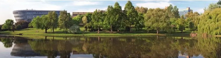 CIMS Online Summer Schools: Foundations and Advanced of DSGE Macro Modelling
